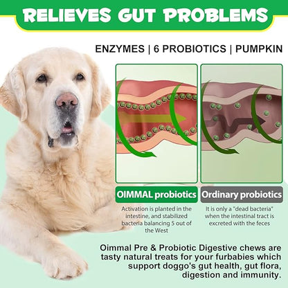 Probiotics for Dogs Digestive Health, Digestive Probiotic Soft Chews for Dogs, Dog Probiotics and Digestive Enzymes, 120 Dog Probiotics Chews Omega-3 & 6, Vitamin, Improve Digestion, Immunity