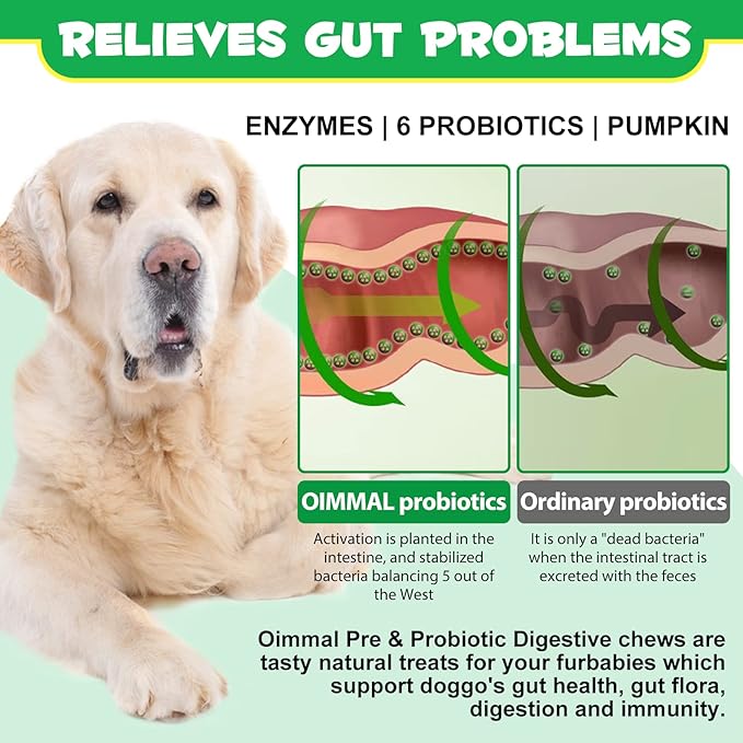 Probiotics for Dogs with Prebiotics and Digestive Enzymes, Dog Probiotics Chews Omega-3 & 6, Vitamin, Improve Digestion, Immunity, Reduce Diarrhea, Gas
