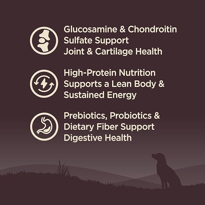 Wellness CORE Grain-Free Senior Dry Dog Food, Made in USA with Real Turkey and Natural Ingredients, With Nutrients for Immune, Joint, Skin & Coat Support, 24-Pound Bag