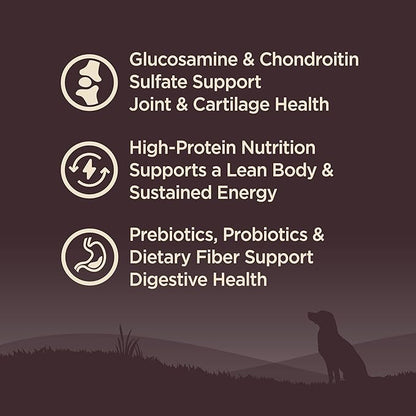 Wellness CORE Grain-Free Senior Dry Dog Food, Made in USA with Real Turkey and Natural Ingredients, With Nutrients for Immune, Joint, Skin & Coat Support, 24-Pound Bag