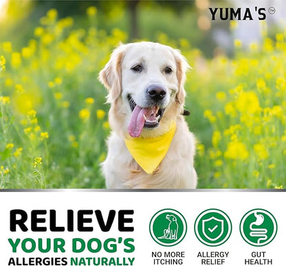 YUMA'S 2-Pack Dog Allergy Relief Chews - Dog Itching Skin Relief Treatment Pills - Anti-Itch for Dogs - Itchy and Paw Licking - Dry Skin & Hot Spots - Omega 3 Fish Oil - Skin & Coat Supplement