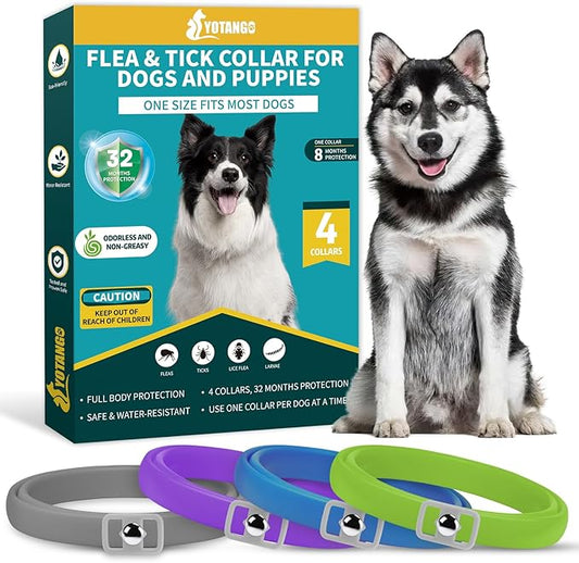 4 Pack Flea Collar for Dogs, Dog Flea and Tick Collar 8 Months Flea and Tick Treatment Prevention for Dogs, Waterproof Adjustable Dog Flea Collar Natural Tick and Flea Collar for Dogs (4Color)