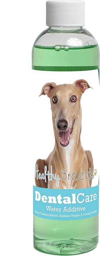 Healthy Breeds Dog Dental Care Water Additive for Italian Greyhound - Helps Freshen Breath, Reduce Plaque & Control Tartar - Mint Flavor - 8 oz