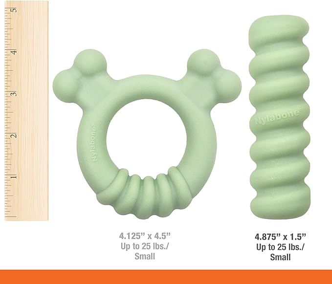 Nylabone Sensory Material Puppy Chew Toys Bundle - Puppy Teething Toys for Boredom & Stimulation - Puppy Supplies - Allergen-Free Peanut Butter and Chicken Flavor, Small/Regular (2 Count)