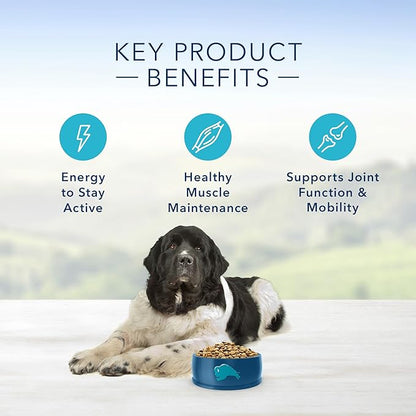 Blue Buffalo Life Protection Formula Natural Senior Large Breed Dry Dog Food, Chicken and Brown Rice 34-lb
