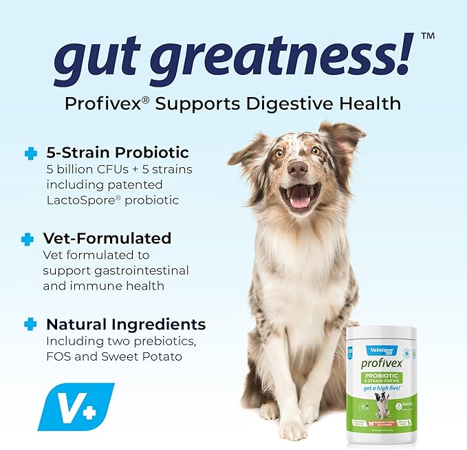 Vetnique Labs Profivex Probiotics for Dogs All Natural Dog Chews & Powder for Digestive Health Probiotic Supplements for Dogs 5 Strains of Probiotics & Prebiotics (Soft Chews, 120ct)