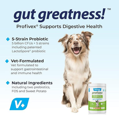 Vetnique Labs Profivex Probiotics for Dogs All Natural Dog Chews & Powder for Digestive Health Probiotic Supplements for Dogs 5 Strains of Probiotics & Prebiotics (Soft Chews, 120ct)