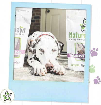 Nature Gnaws Variety Pack - Long Lasting Dog Chews for Dogs - Combo Pack of Bully Sticks, Beef Gullet and More - Dental Chews - Puppy Training Reward Large (12ct)