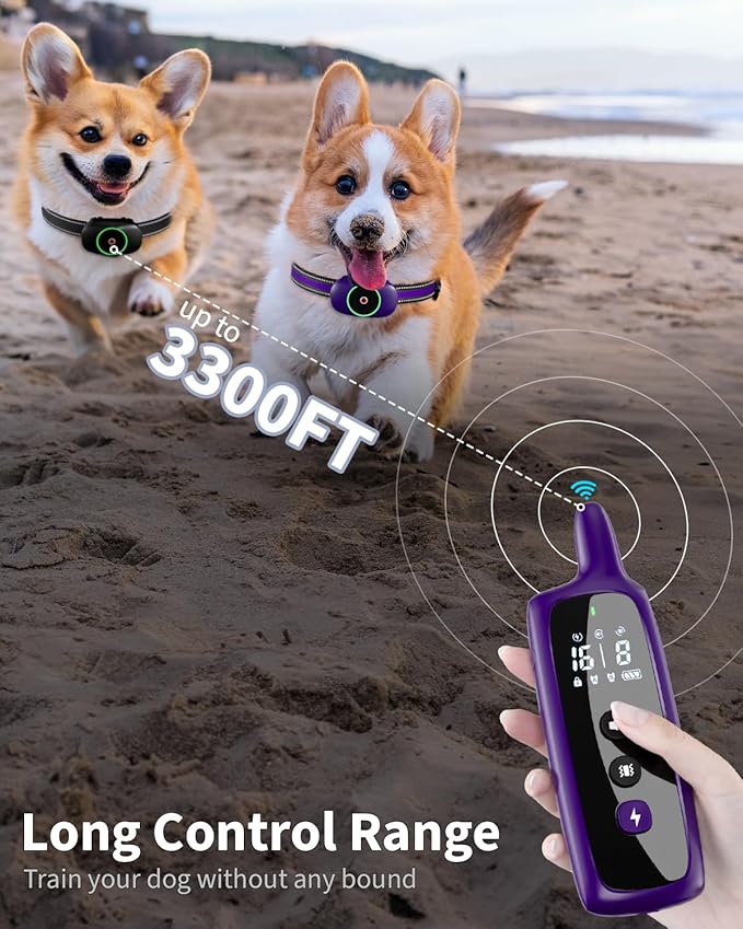 Dog Shock Collar for 2 Dogs, Dog Training Collar with Remote for Large Medium Small Dogs, Rechargeable E-Collar Waterproof Collars with 3 Training Modes, Range up to 3300Ft-Purple