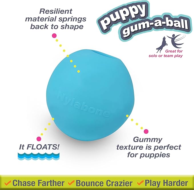 Nylabone Power Play Puppy Gum-a-Ball, Puppy Ball - Interactive Puppy Enrichment Toys - Puppy Must Haves (1 Count)