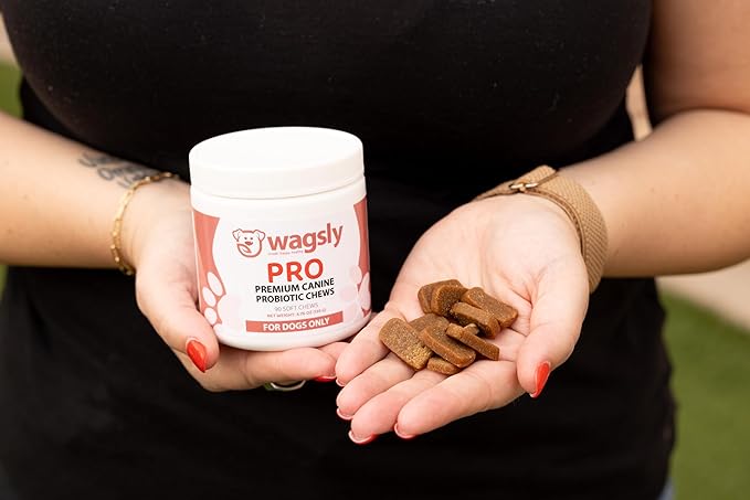PRO – Daily Probiotic for Dogs Digestive Health - Bacillus Coagulans, Digestive Enzymes, Immune Support, Diarrhea & Bowel Relief, Natural Duck Flavor - 90 Count - Dog Gut Health Supplement