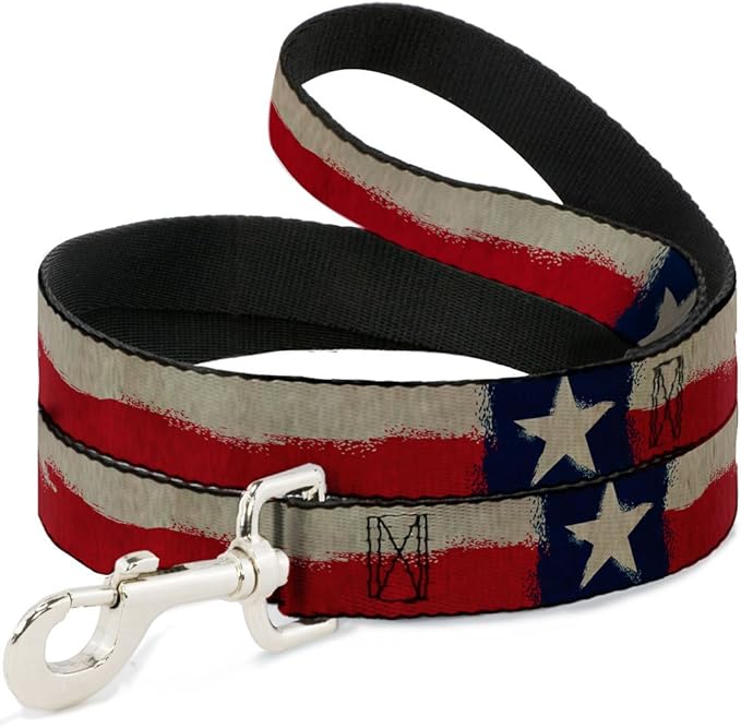 Buckle-Down Dog Leash Texas Flag Close Up Distressed Painting 6 Feet Long 1.0 Inch Wide, Multicolor (DL-6FT-W32099)