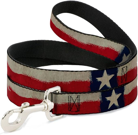 Buckle-Down Dog Leash Texas Flag Close Up Distressed Painting 6 Feet Long 1.0 Inch Wide, Multicolor (DL-6FT-W32099)