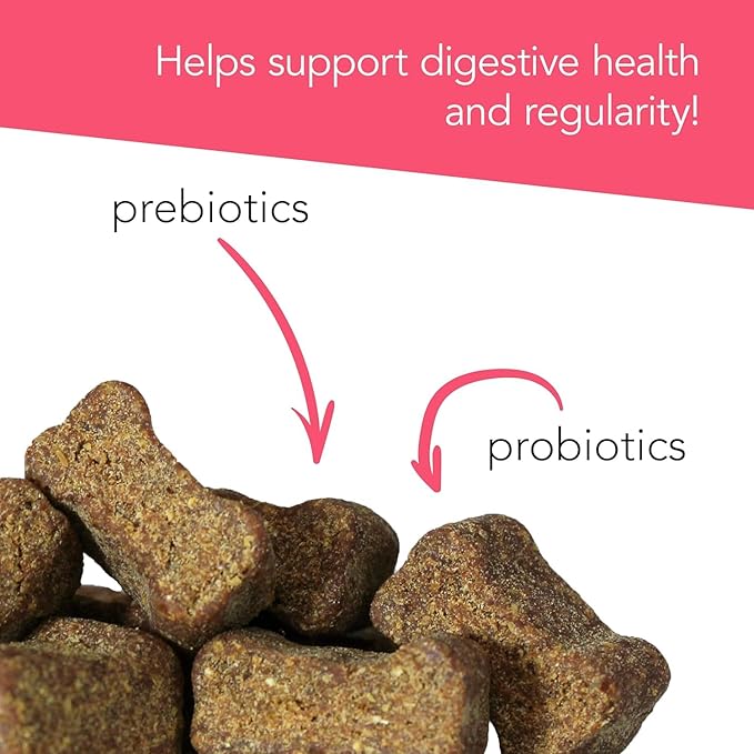 VetriScience Probiotic Everyday for Dogs, Duck Flavor, 120 Chews & Omega Plus Advanced Skin Supplement for Dogs, 40 Chews