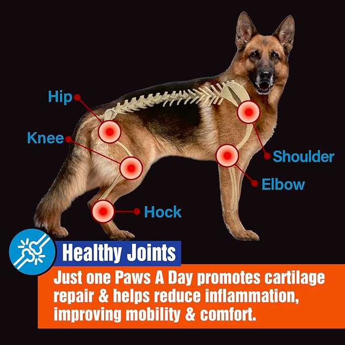 Glucosamine for Dogs Hip & Joint Supplement – “Two-in-One Combo” Dog Joint Care and Improved Skin & Coat with Chondroitin, MSM, Omega 3, Collagen & Biotin, 60 Chewable Tablets (Pack of 3)