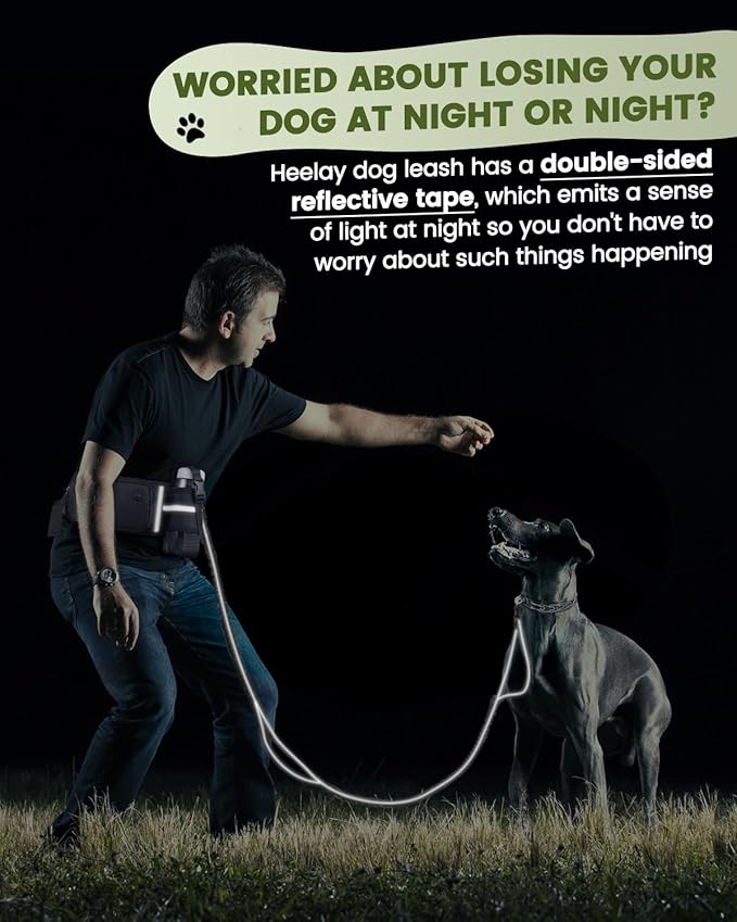 Hands Free Dog Leash for Medium and Large Dogs with Waist Belt Pouch, Dog Running Leash for Training Hiking Jogging Running Walking with Double Handle Bungee | Reflective Stitches Black