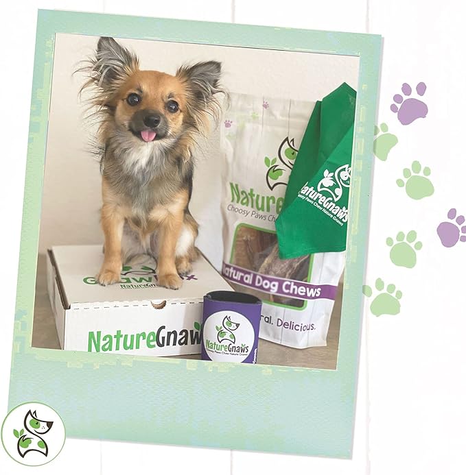 Nature Gnaws Thin Bully Sticks for Small Dogs - Premium Natural Tasty Beef Bones - Simple Long Lasting Dog Chew Treats - Rawhide Free 5-6 Inch