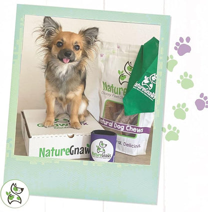Nature Gnaws Thin Bully Sticks for Small Dogs - Premium Natural Tasty Beef Bones - Simple Long Lasting Dog Chew Treats - Rawhide Free 5-6 Inch