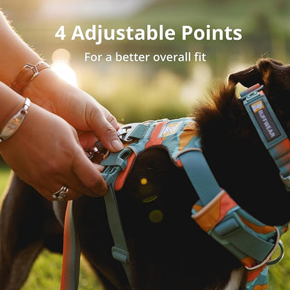 Ruffwear, Front Range Dog Harness, Reflective and Padded, No Pull Harness for Training and Everyday, Coastal Mountains, X-Small