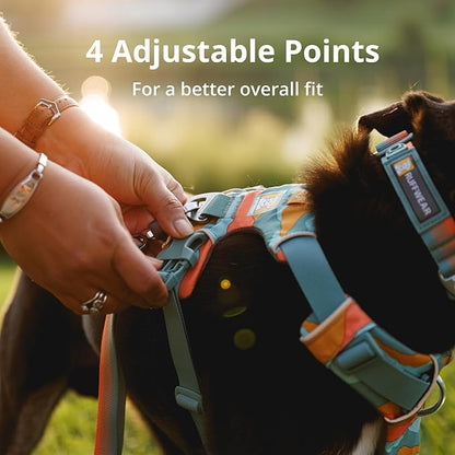 Ruffwear, Front Range Dog Harness, Reflective and Padded, No Pull Harness for Training and Everyday, Coastal Mountains, Small