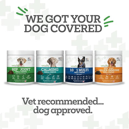Well Chews | Soft Chew Supplements for Dogs | 60 Count | Made in USA (Hip + Joint)