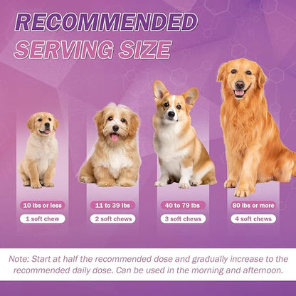 Omega 3 for Dogs Skin and Coat Supplement for Dogs Dog Allergy Chews Dog Itching Skin Relief Fish Oil for Dogs Dry Skin for Dogs Treatment Dog Salmon Oil Supplement 200 Tablets Omega 3 Chews for Dogs
