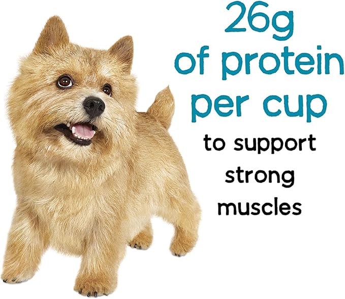 Beneful Incredibites for Small Dogs Nutritious Small Breed - Beef Flavor - 3.5 lb Bag. Bundle Includes a Dog Toy Carrot and a Pet Nutrition Booklet