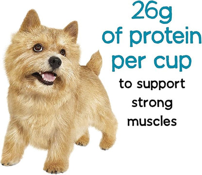 Beneful Incredibites for Small Dogs Nutritious Small Breed - Beef Flavor - 3.5 lb Bag. Bundle Includes a Dog Toy Carrot and a Pet Nutrition Booklet