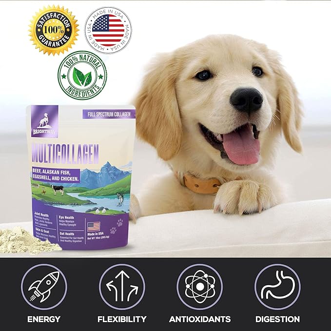Multi-Collagen Peptide Dog Joint Supplement for Dogs- Arthritis Support- Skin & Coat Health, Allergies, Dog Mobility Hip & Joint Pain Supplement Relief, Collagen for Dogs