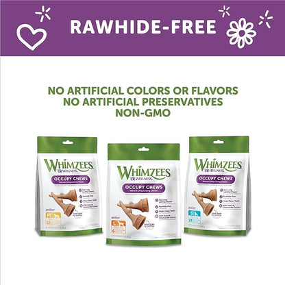 WHIMZEES by Wellness Occupy Antler Natural Dental Chews for Dogs, Long Lasting Treats, Grain-Free, Freshens Breath, Large Breed, 6 count