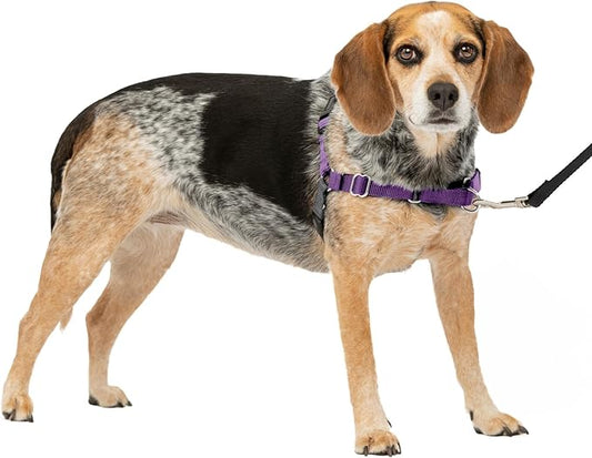 PetSafe Easy Walk Dog Harness - No Pull Dog Harness - Small/Medium, Deep Purple