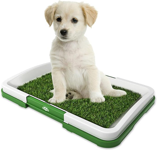 Artificial Grass Pee Pad Set for Dogs - Reusable Puppy Essential for Potty Training Small Pets Indoors and Outdoors by PETMAKER (Green)