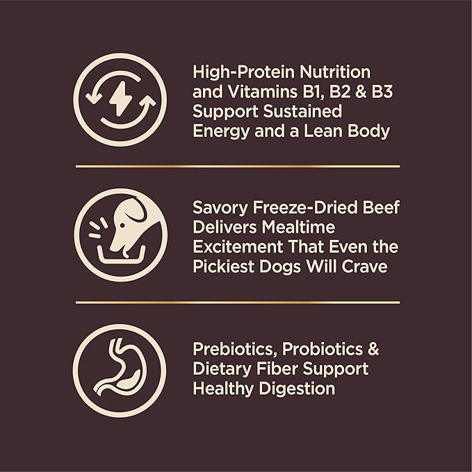 Wellness CORE+ Grained Dry Dog Food, Beef & Barley Recipe, 4 Pound Bag