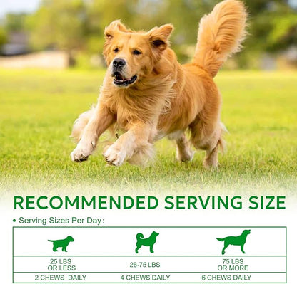 Multivitamin Dog Supplement, Glucosamine Chondroitin for Dogs, Probiotics, Omega Fish Oil, Dog Supplements & Vitamins, Dog Vitamins for Skin and Coat Allergies, (Beef 180 ct)