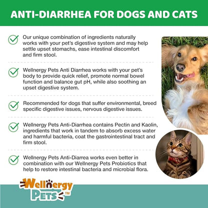 Anti-Diarrhea for Dogs & Cats (8 oz Liquid)(Syringe included)