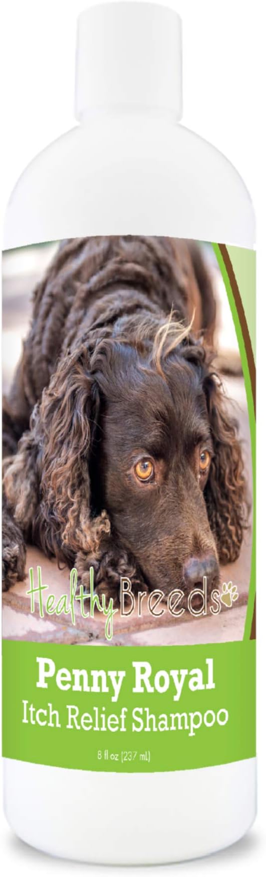 Healthy Breeds American Water Spaniel Penny Royal Itch Relief Shampoo 8 oz