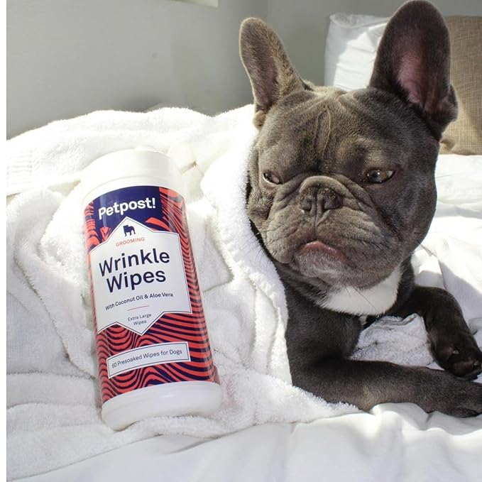Petpost | Bulldog Wrinkle Wipes for Dogs - Extra Large Cotton Pads in Coconut Oil Solution - Cleans and Soothes XL Pug Wrinkles and Folds 60 ct.