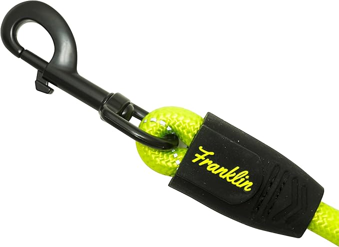 Franklin Pet Supply Nylon Dog Leash – Rope – Reflective – Dog Training – 6 Foot – Dog Walking – Ultra Strong – Green