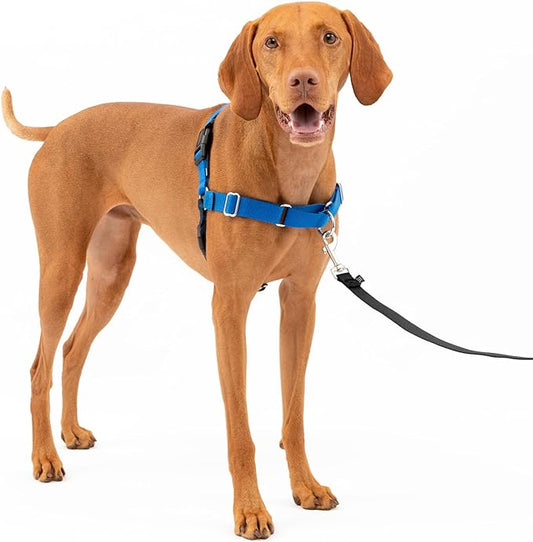 PetSafe Easy Walk Dog Harness - No Pull Dog Harness - Medium, Royal Blue