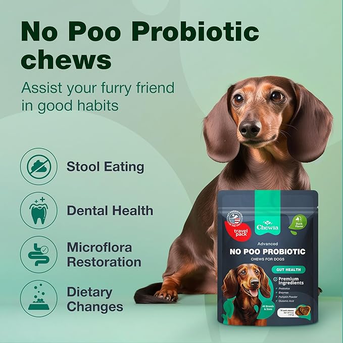 Zip-Lock, No Poo Probiotic Dog Chews - Digestive Strength, Gut Health Support - Dog Supplement for General Health Support - Skin & Coat