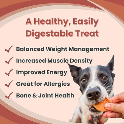 Dog Training Treats - Turkey Chips, Single Ingredient, Lean, All Natural, Healthy Dog Treats for Small, Medium, Large Dog Breeds, & Puppies, Made in USA