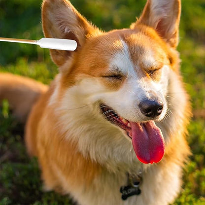 6 Inch Long Cotton Swabs for Dogs ，Cat，Small Pet Ears Cleaning, Pet Cotton Ear Buds Swabs,Ear Cleaning Swabs with Bamboo Handle,Apply for Daily Ear Cleaning Removes Wax, Dirt (100pcs)