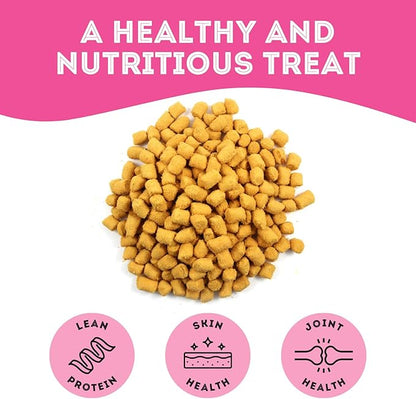 Freeze Dried Salmon Treats for Dogs & Cats (1.76 oz, Pack of 1) - Single Ingredient Dog Treats, Cat Treats - Natural Dog Treats, Grain Free