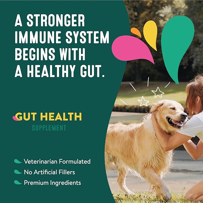 Gut Health Supplements for Dogs | Prebiotic & Probiotic Food Topper with Ginger Root, Icelandic Seaweed, and Organic Kelp | All Breeds and Sizes | 60 Count