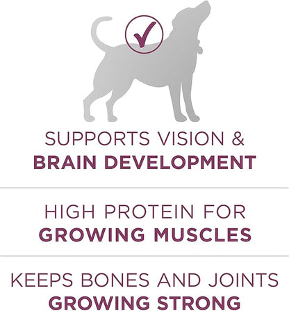 Purina ONE Plus Healthy Puppy Formula High Protein Natural Dry Puppy Food with Added Vitamins, Minerals and Nutrients - 16.5 lb. Bag