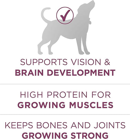 Purina ONE Plus Healthy Puppy Formula High Protein Natural Dry Puppy Food with Added Vitamins, Minerals and Nutrients - 16.5 lb. Bag