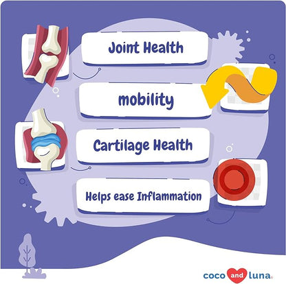 Joint Supplement for Dogs - 90 Soft Chews - with Green Lipped Mussel, Glucosamine, Turmeric, Fish Oil, MSM and Yucca Schidigera (Soft Chews)