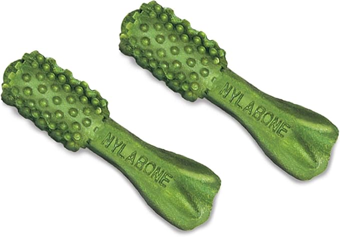 Nylabone Nutri Dent Dog Dental Treats - Natural Dog Teeth Cleaning & Breath Freshener - Dental Treats for Dogs - Fresh Breath Flavor, Mini (160 Count)