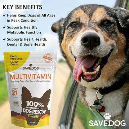 Chewable Dog Multivitamin - Dog Vitamins and Supplements – with Amino Acids and Antioxidants to Support Immunity Energy and Wellness - Dog Supplement with a Cause (60 Chews)