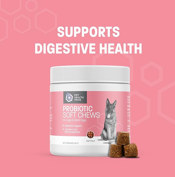 Dog Probiotic Chews for Dogs - Support Healthy Digestion Dog Probiotics and Digestive Enzymes for Gut Health for Dogs - for Traveling, Kenneling and Training - Large/Giant Dog - 30 ct